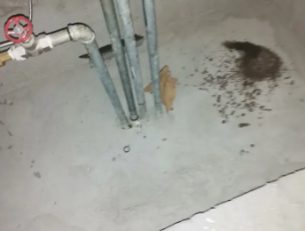 苏家屯卫生间测漏水价格明细